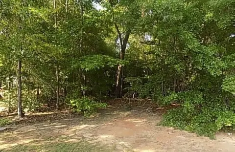 Wooded Cul-de-Sac Home Lot