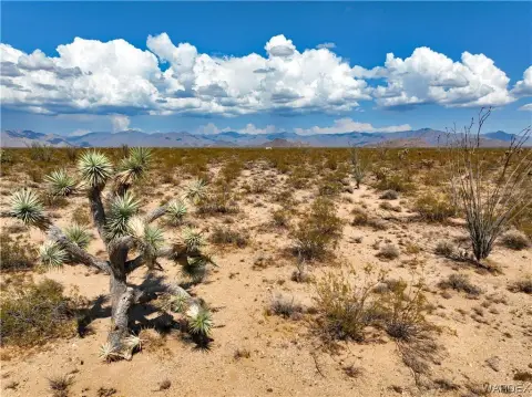 38.35 Acres in Yucca, AZ