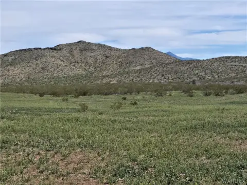 Land in Dolan Springs, AZ