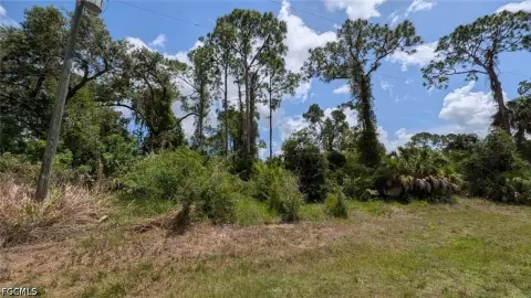 Buildable Lot in Labelle, FL