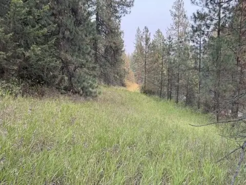 Recreation Land Near Off-Road Trails