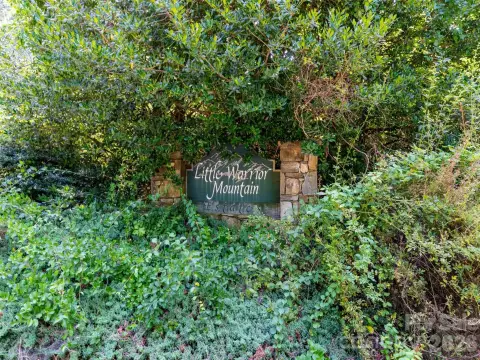Mountain View Land with Two Lots