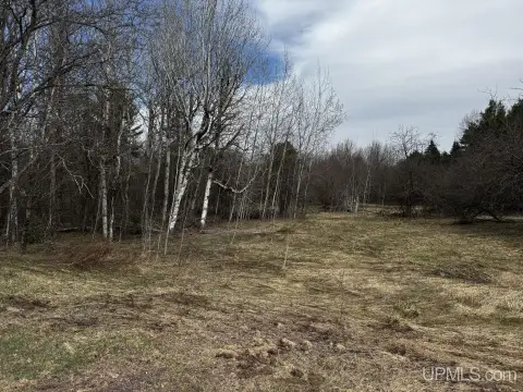Vacant Land in Ontonagon, MI