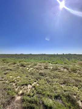 10 Acres in McMillan Farms