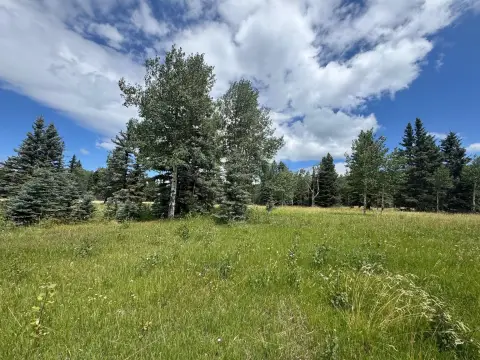Land in Angel Fire, NM