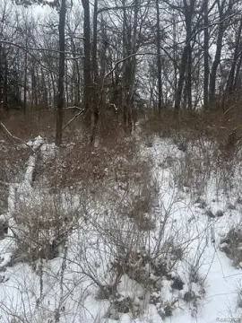 20 Acres Vacant Land