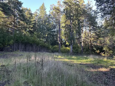 Forested Land Parcel in PortOrford