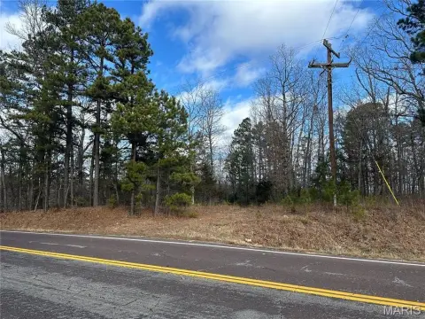 Mostly Wooded Hunting Land