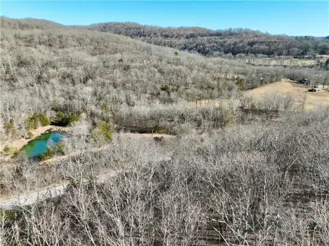 Scenic Lot with Ozark Views