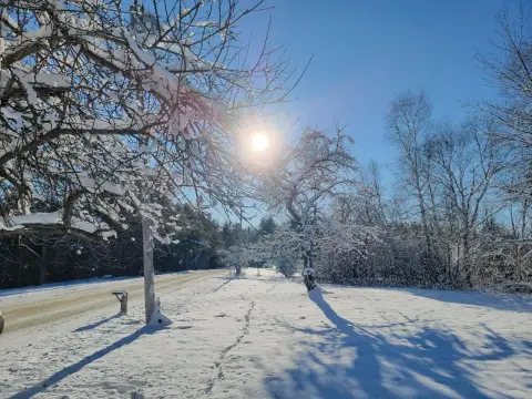 Eastbrook Land Near Molasses Pond