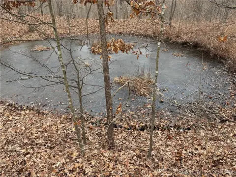 29.47 Acres Near Bennett Springs