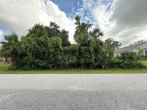 Residential Land in Palm Coast