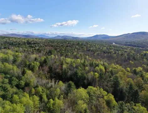 20 Acres Near Gore Mountain