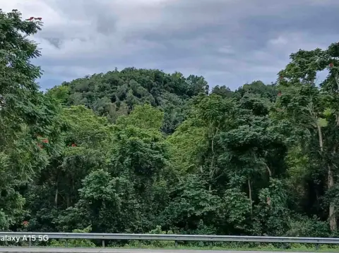 Arecibo Farm/Estate Opportunity