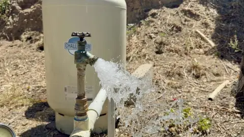 Irrigated Agricultural Land