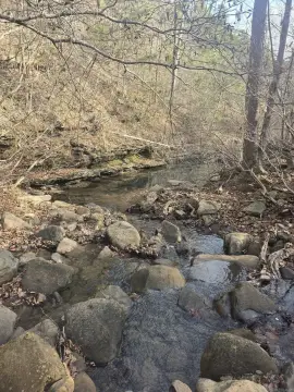 27 Acres in Arkansas Mountains