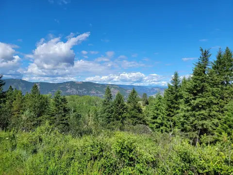 Recreation Land with Off-Grid Cabin