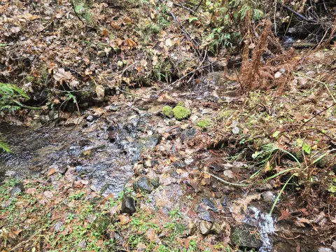 Recreation Land Parcel with Creek