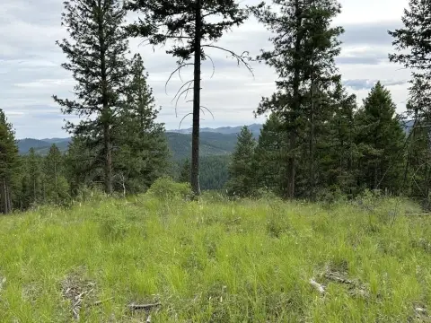 Recreation Land with Creek Frontage