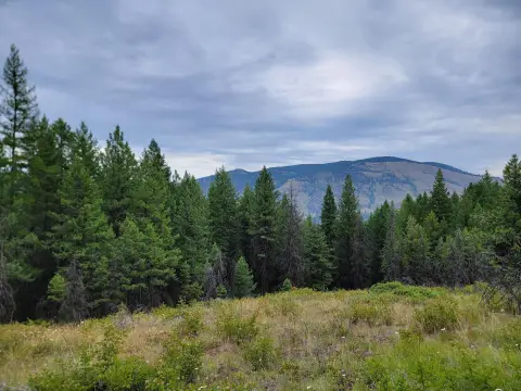 Wooded Recreational Land Parcel