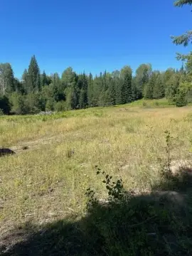 Forestry Recreation Land