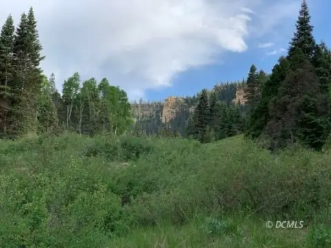 Secluded Land Near Cedar Breaks