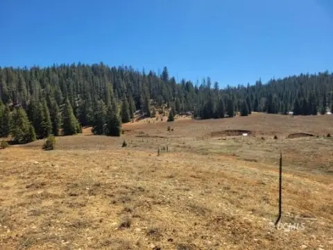 Residential Lot Near National Forest