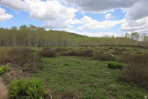 Partially Wooded Residential Lot