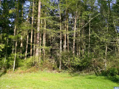 Private Wooded Acreage Near Sequim