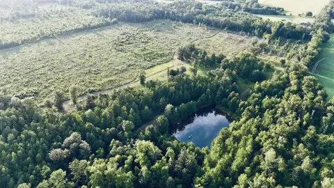 216 Acres Hunting Land, Chattahoochee