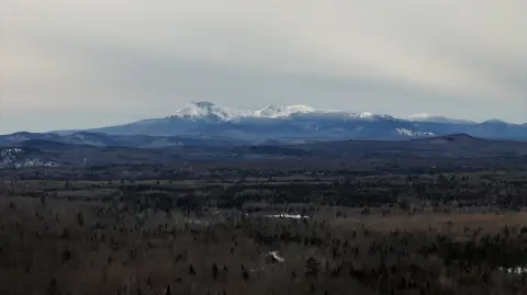 Remarkable Timberland Tract For Sale