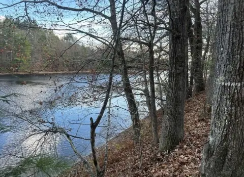 Hollis, ME Wooded Riverfront Land