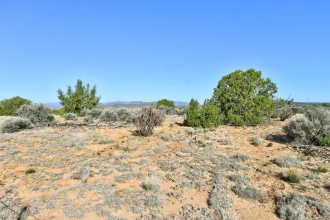 Land Near Carson National Forest