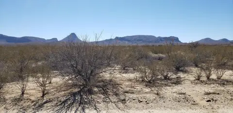 Terlingua Ranch Land with Views