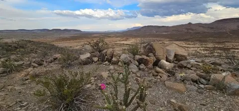 Terlingua Ranch Land with Mountain