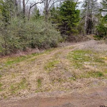Heavily Wooded Acreage For Sale