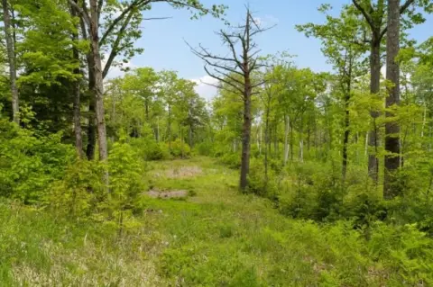 Waterfront Building Lot