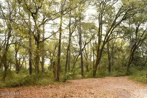 Hampstead, NC Wooded Lot