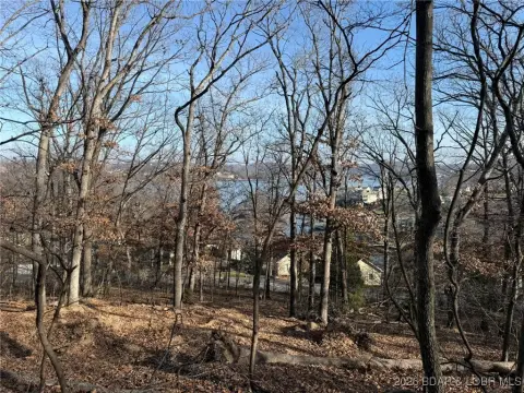 Wooded Lot in Porto Cima