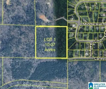 PINSON, AL Acreage Opportunity