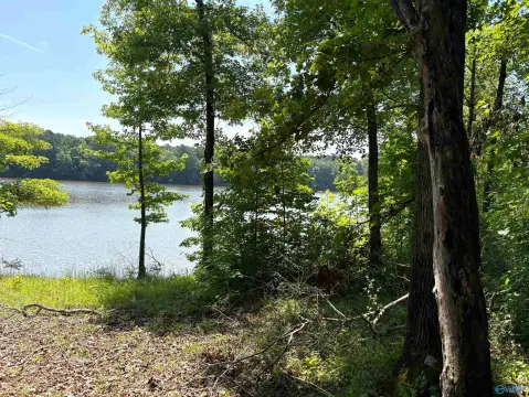 Waterfront Recreational Land with Shoreline