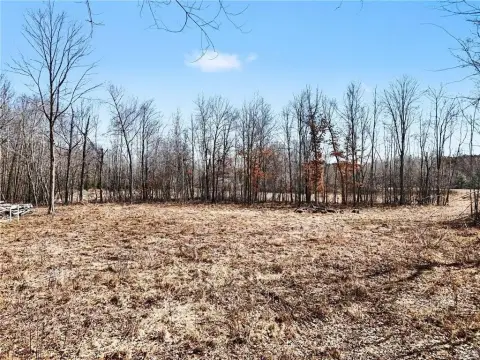 10 Acres of Wooded Land