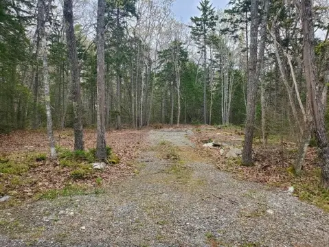 Residential Land in Desirable Area