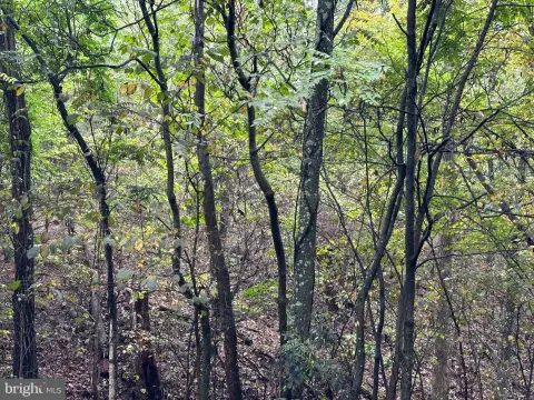 Residential Land in Winchester, VA