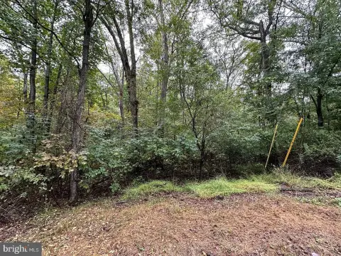 Residential Land in Winchester, VA
