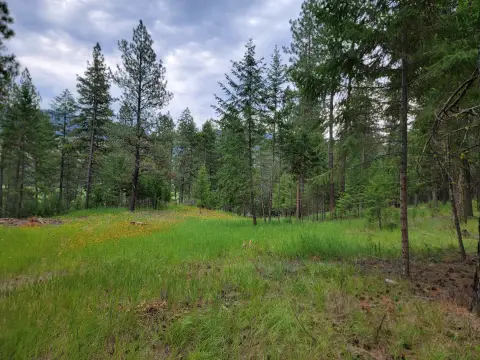Build-Ready Recreation Land Parcel