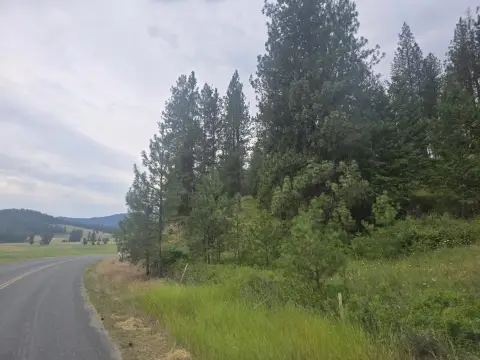 Territorial View Hunting Land Parcel