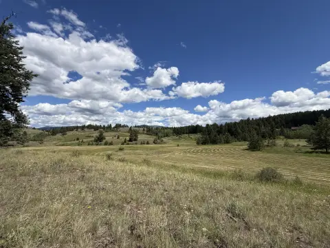Timber-Backed Residential Acreage