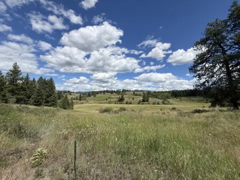 Recreation Land with Timber and Stream