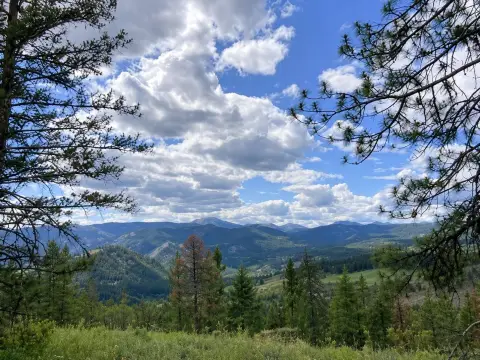 Forestry-Zoned Land with Panoramic Views